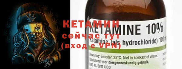 шишки Горняк
