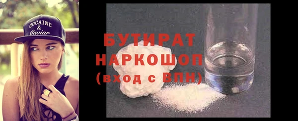 шишки Горняк