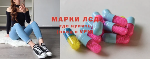 шишки Горняк