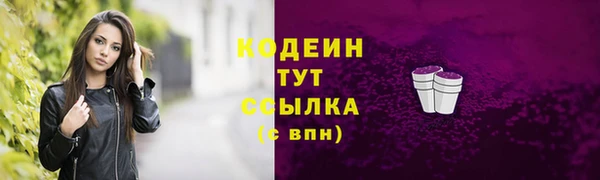 гидра Гусев