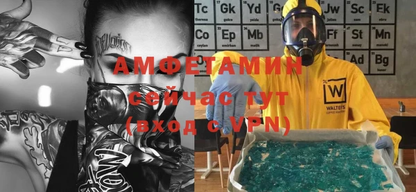 шишки Горняк