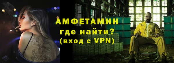 шишки Горняк