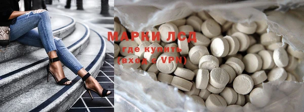 гидра Гусев