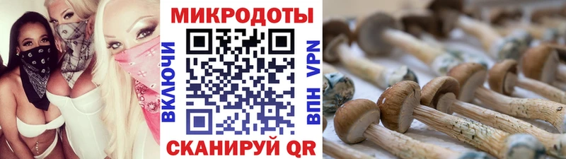 магазин продажи   Петропавловск-Камчатский  Псилоцибиновые грибы мухоморы 