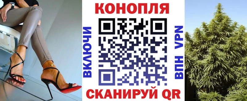 kraken ONION  Петропавловск-Камчатский  Канабис индика  что такое наркотик 
